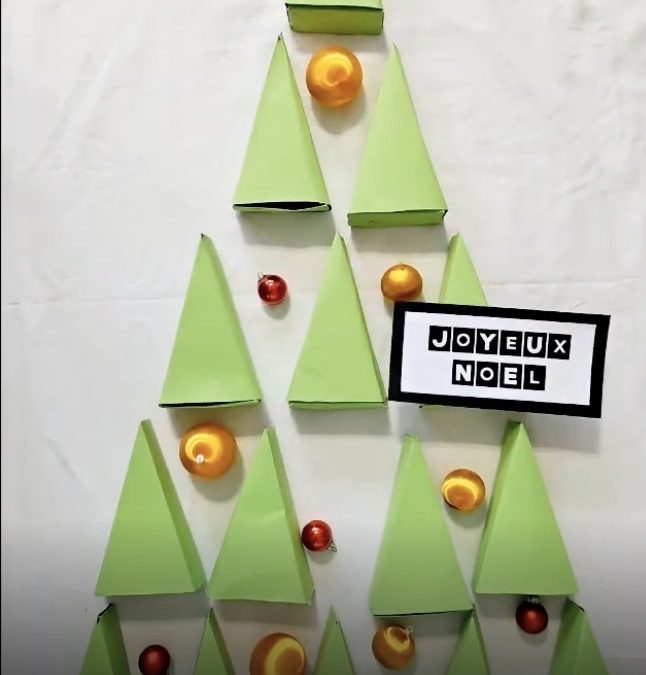 🎥 – Classe 5-6/R : Le sapin